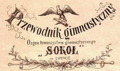Сокіл Сокіл