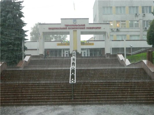 нива тернопіль нива тернопіль