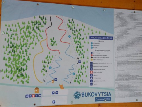 Буковиця Буковиця