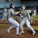 fencing