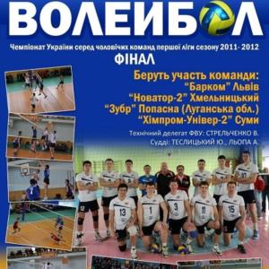 volleyball