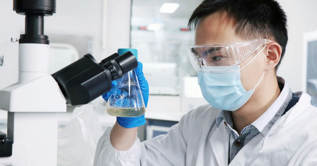 Counterfeit S23: what laboratory testing reveals